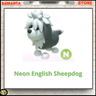 Neon English Sheepdog