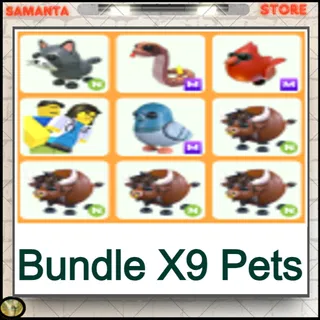 Bundle X9 Pets