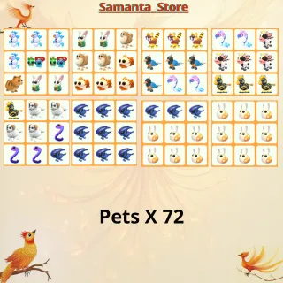 Pets X 72