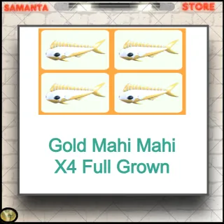 Gold Mahi Mahi X4 Full Grown
