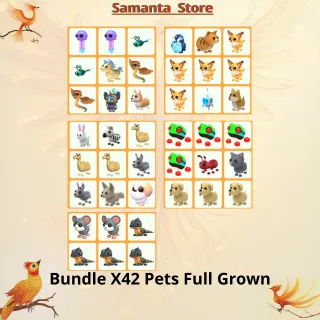 Bundle X42 Pets Full Grown