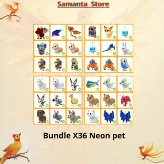 Bundle X36 Neon pet