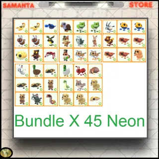 Bundle X45 Neon