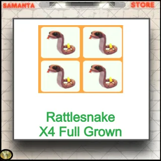 Rattlesnake X4 Full Grown