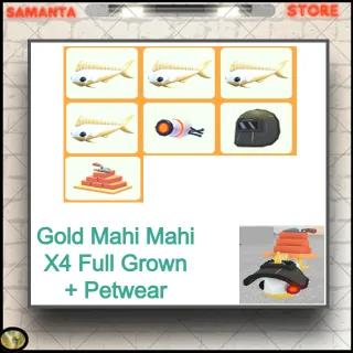 Gold Mahi Mahi X4 Full Grown + Petwe