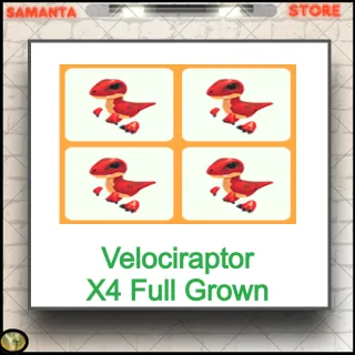 Velociraptor X4 Full Grown
