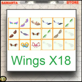 Wings X18