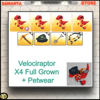 Velociraptor X4 Full Grown + Petwear