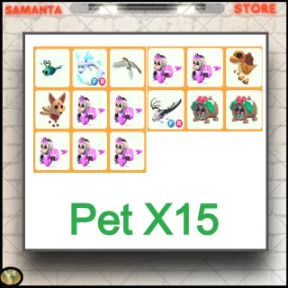 Pet X15