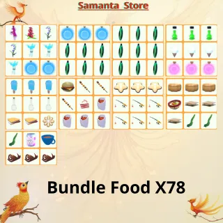 Bundle Food X78