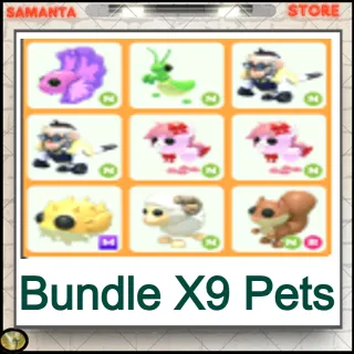 Bundle X9 Pets