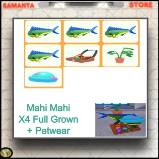Mahi Mahi X4 Full Grown + Petwear