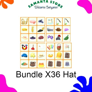 Bundle X36 Hat