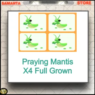 Praying Mantis X4 Full Grown