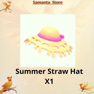 Summer Straw Hat X1