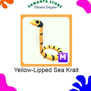 Yellow-Lipped Sea Krait Mega