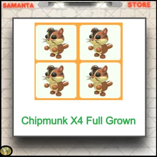Chipmunk X4 Full Grown