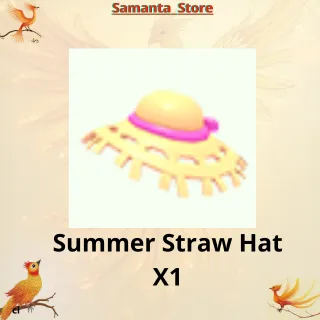 Summer Straw Hat X1
