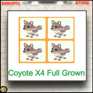 Coyote X4 Full Grown