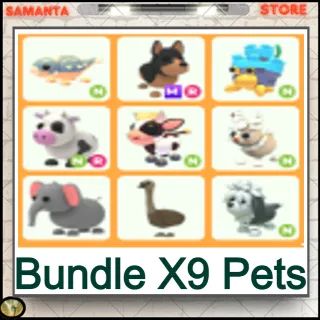 Bundle X9 Pets 