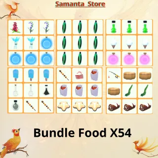 Bundle Food X54