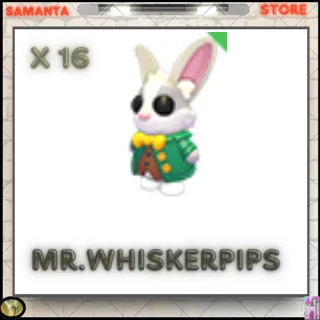 Mr. whiskerpips X16