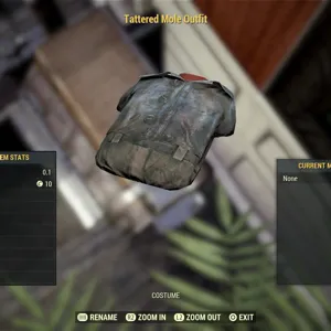 Tattered mole Outfit