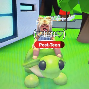 FR TURTLE