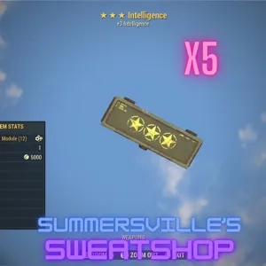5 +3 Intelligence Box Mod