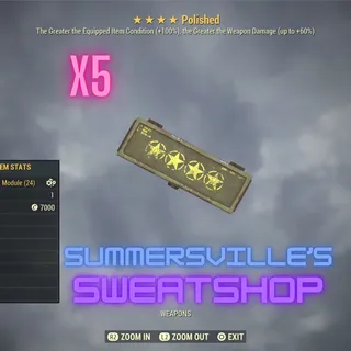 x5 Polished Box Mod