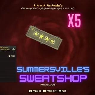 x5 Pin-Pointers Box Mod