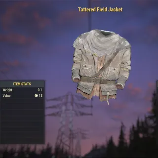 Tattered Field Jacket