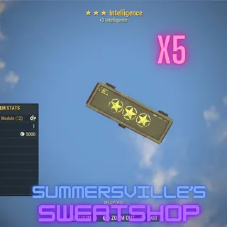 5 +3 Intelligence Box Mod