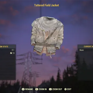 Tattered Field Jacket