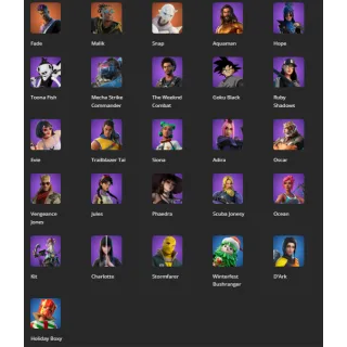 FORTNITE ACCOUNTS 26 skins / PSN , XBOX , PC / Fade,Malik,Snap,Ruby Shadows,Aquaman,Hope,Jules ,Charlotte,Full access email