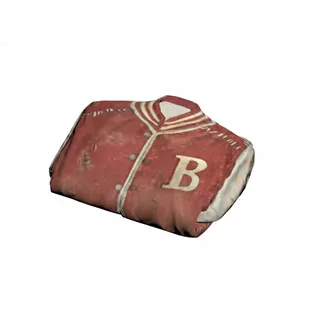 COLLECTOR'S LETTERMAN JACKET (DISPLAYABLE MISC)