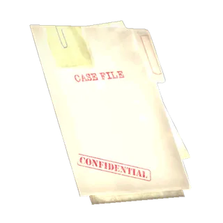 LOST DOSSIER (DISPLAYABLE MISC)
