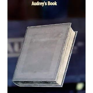 AUDREY'S BOOK (DISPLAYABLE MISC)