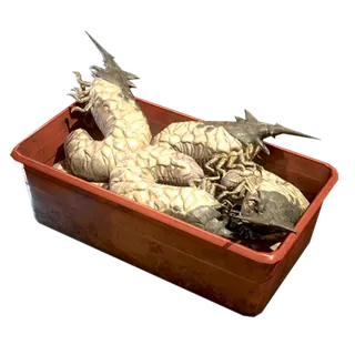 500 IMPROVED BAIT 