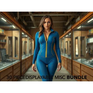 30PC DISPLAYABLE MISC BUNDLE 