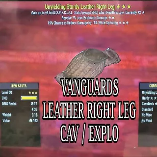 Vanguards Leather LL