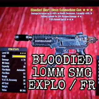 Weapon | Bloodied 10mm SMG