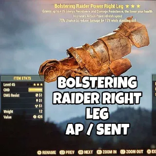 Apparel | Bolstering Raider RL