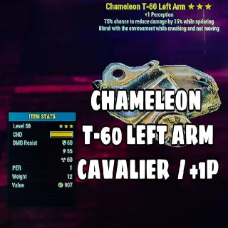 Apparel | Chameleon Cav T-60 LA