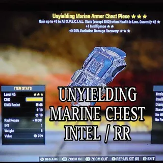 Unyielding Marine Chest