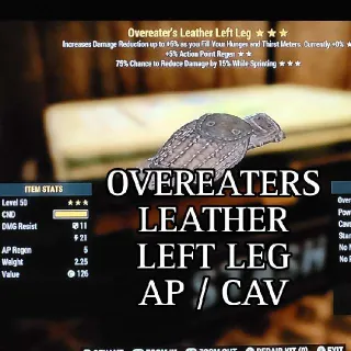Overeaters Leather LL