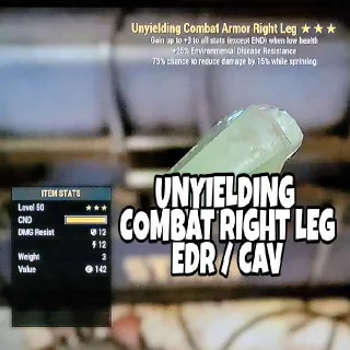 Apparel | Unyielding Combat Cav RL