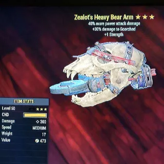 Weapon | Zealots PA 1S Bear Arm