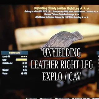 Unyielding Leather RL