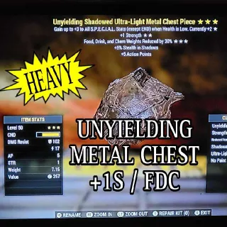 Unyielding Metal Chest